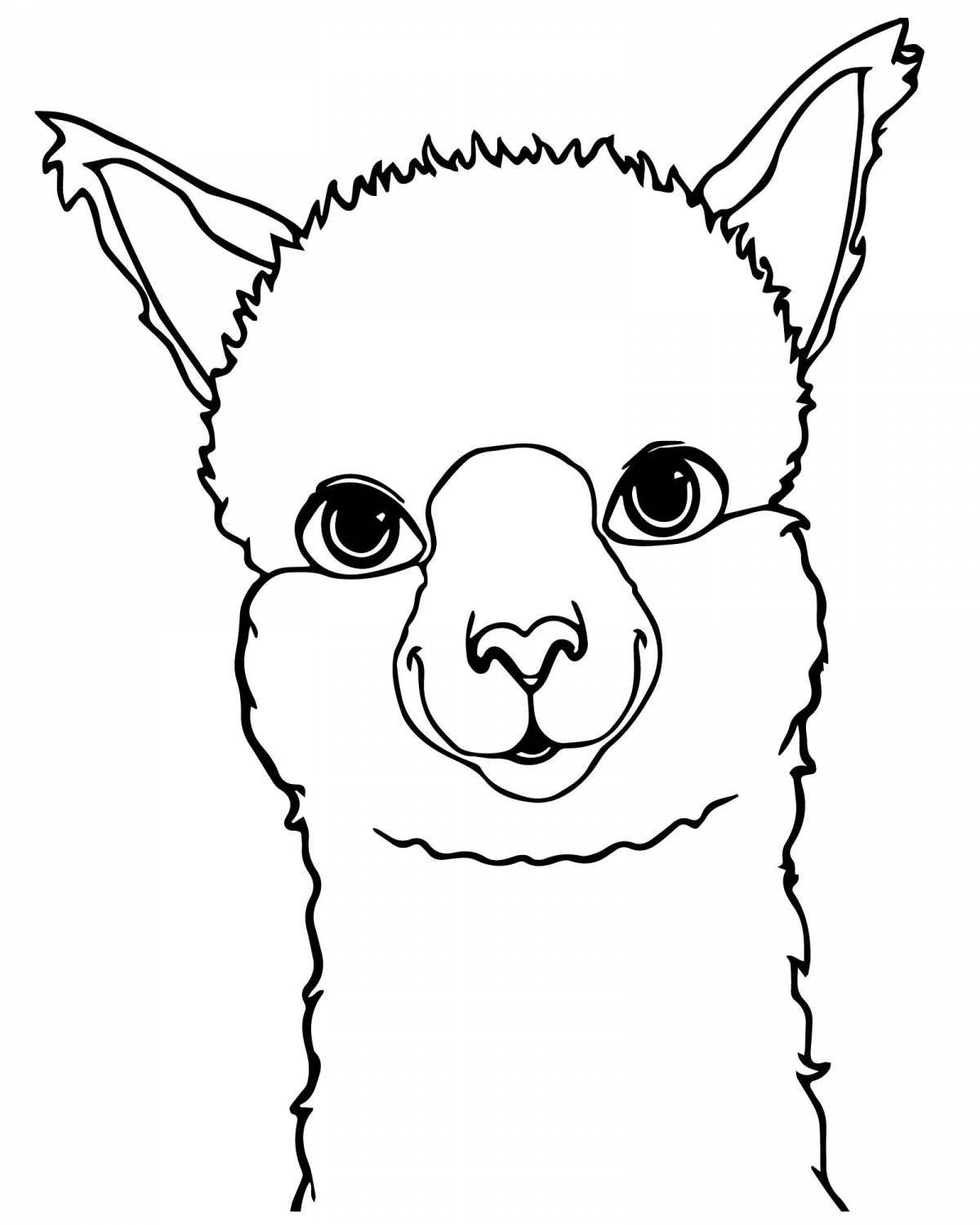 Cute alpaca coloring book