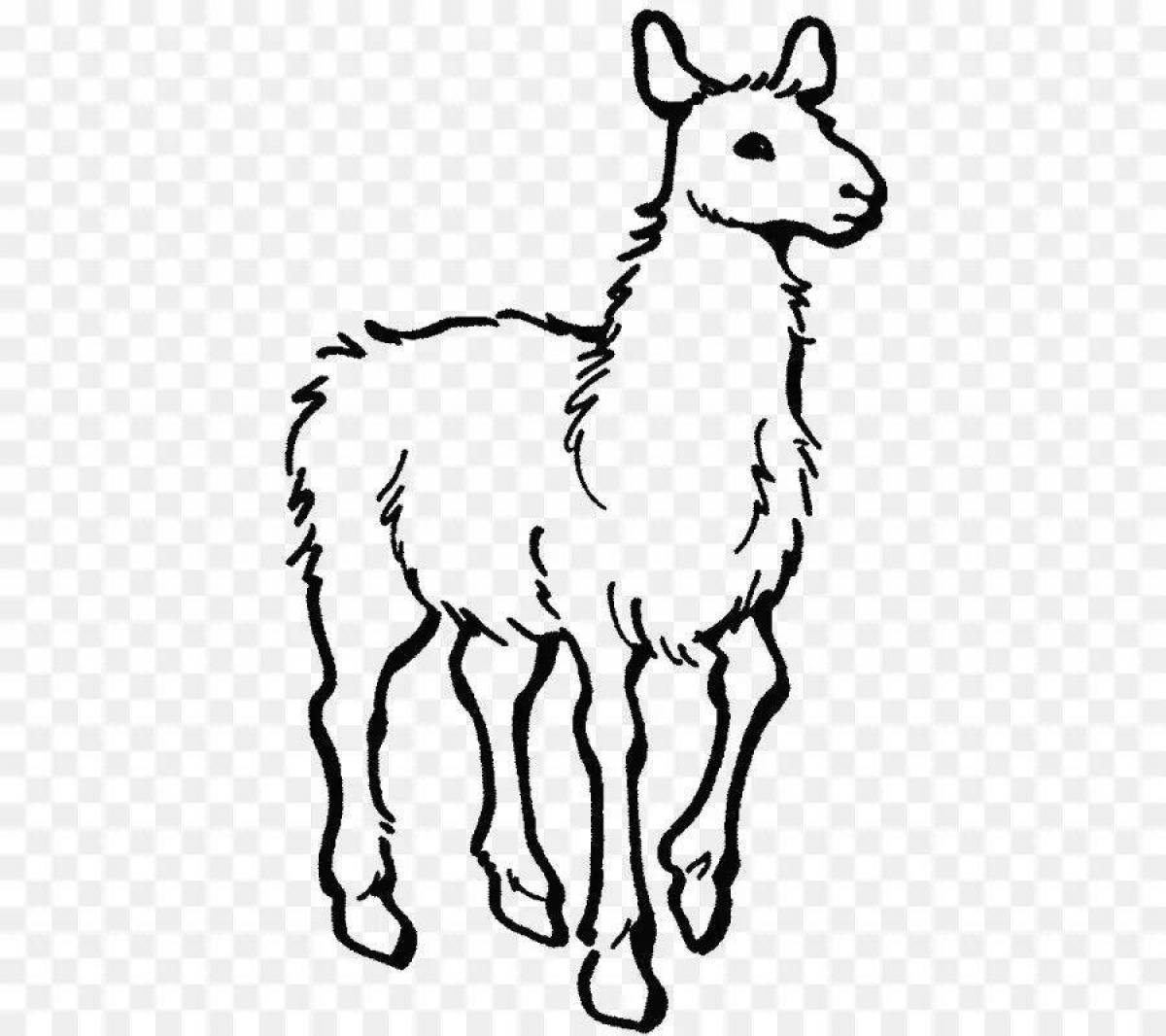 Alpaca fun coloring book