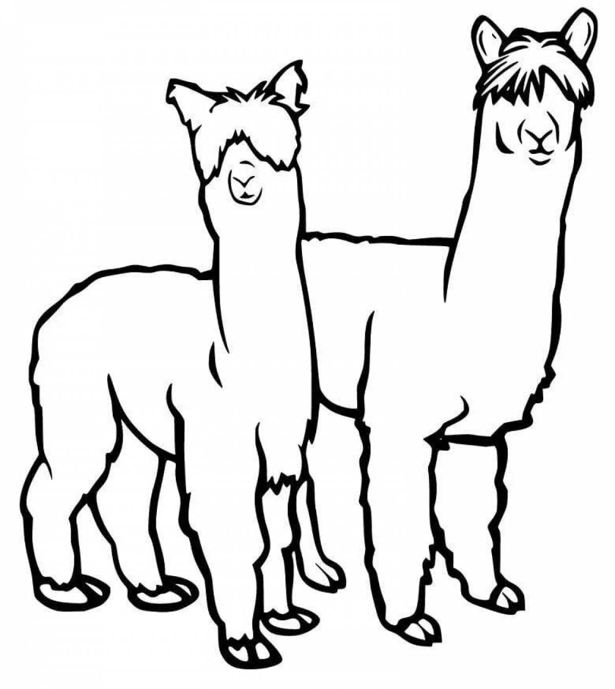 Adorable alpaca coloring book