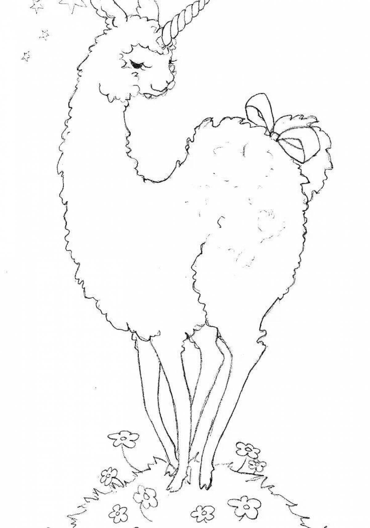 Exotic alpaca coloring book