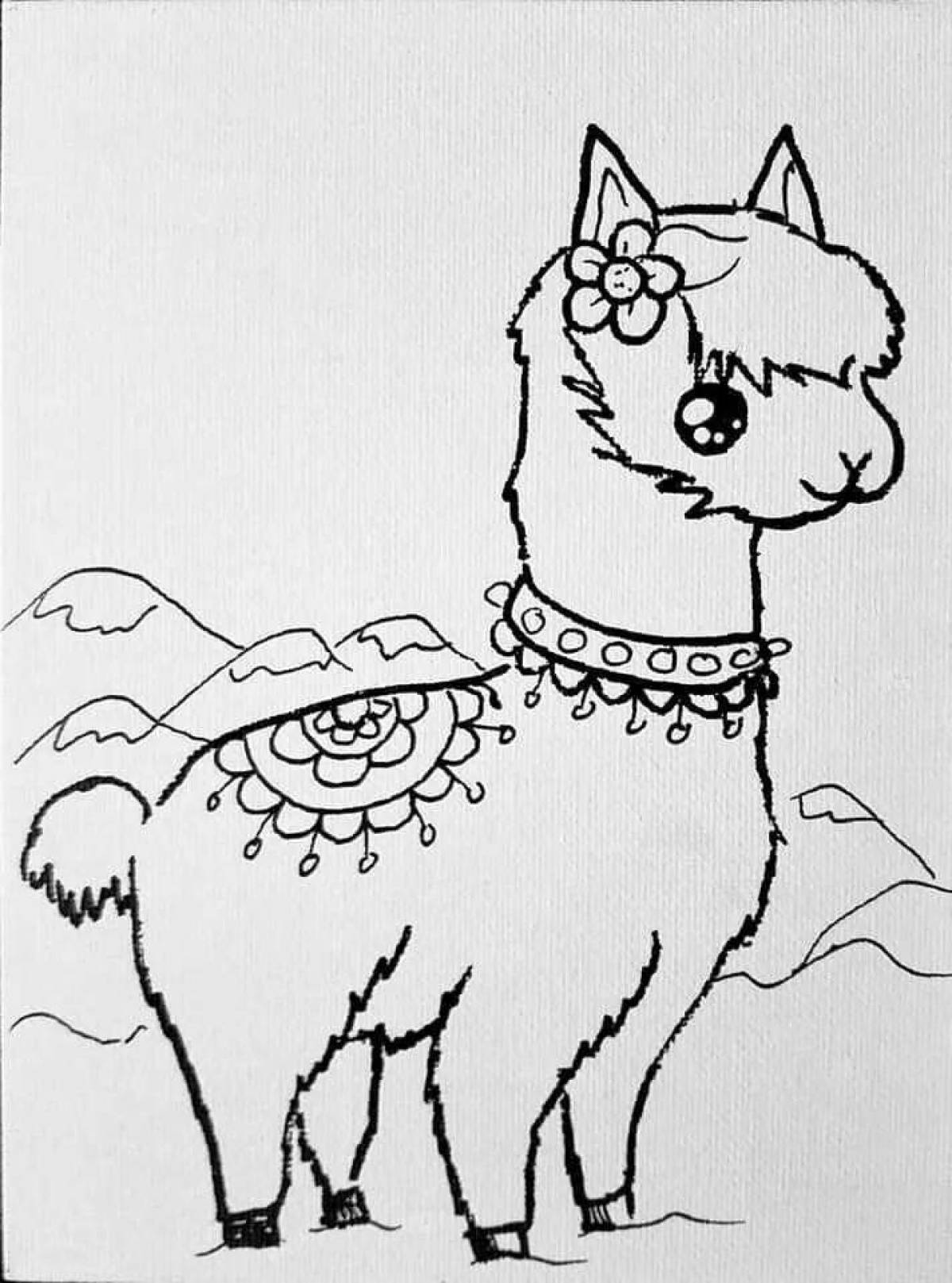 Coloring book shining alpaca