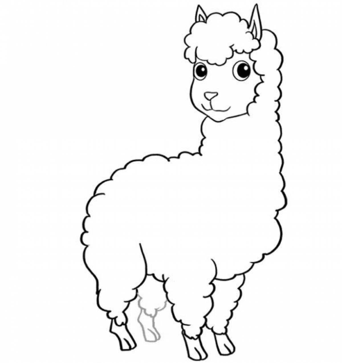 Coloring page of a sociable alpaca