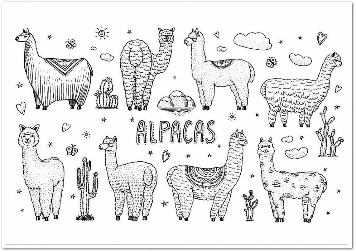Coloring page energetic alpaca