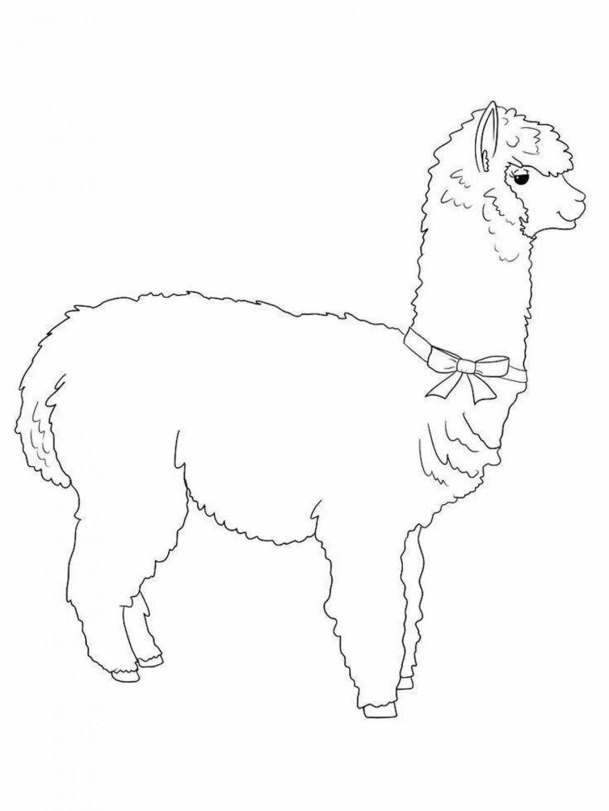 Alpaca coloring while playing