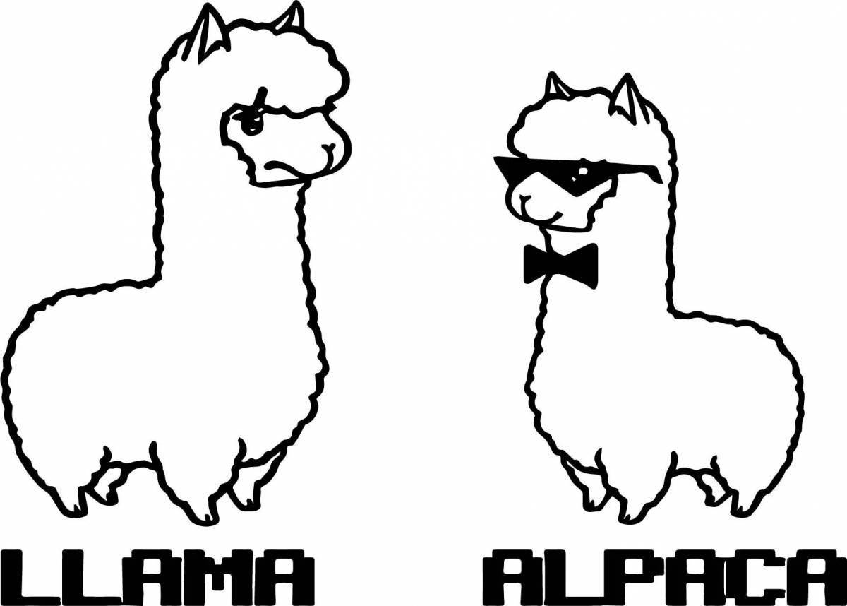 Alpaca#5