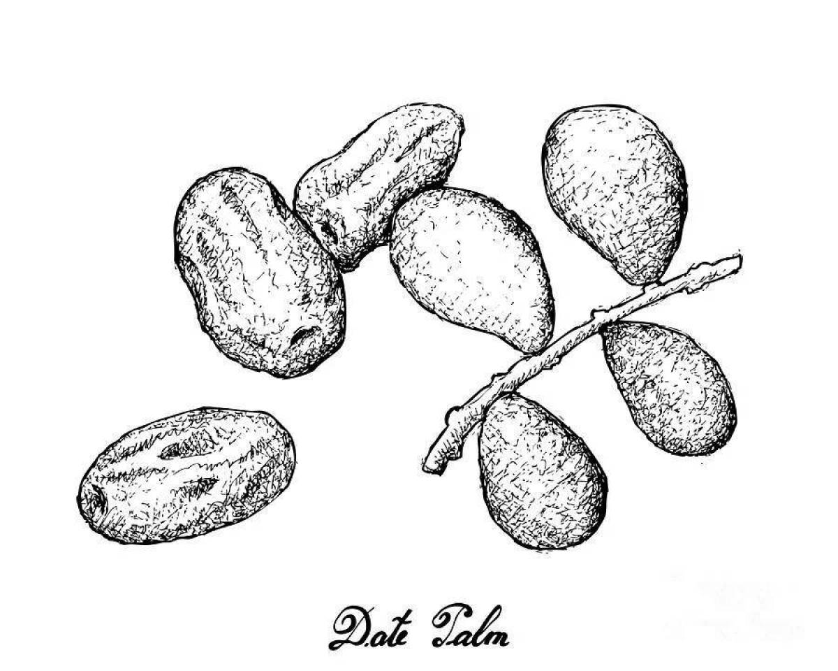 Animated date fruit coloring page