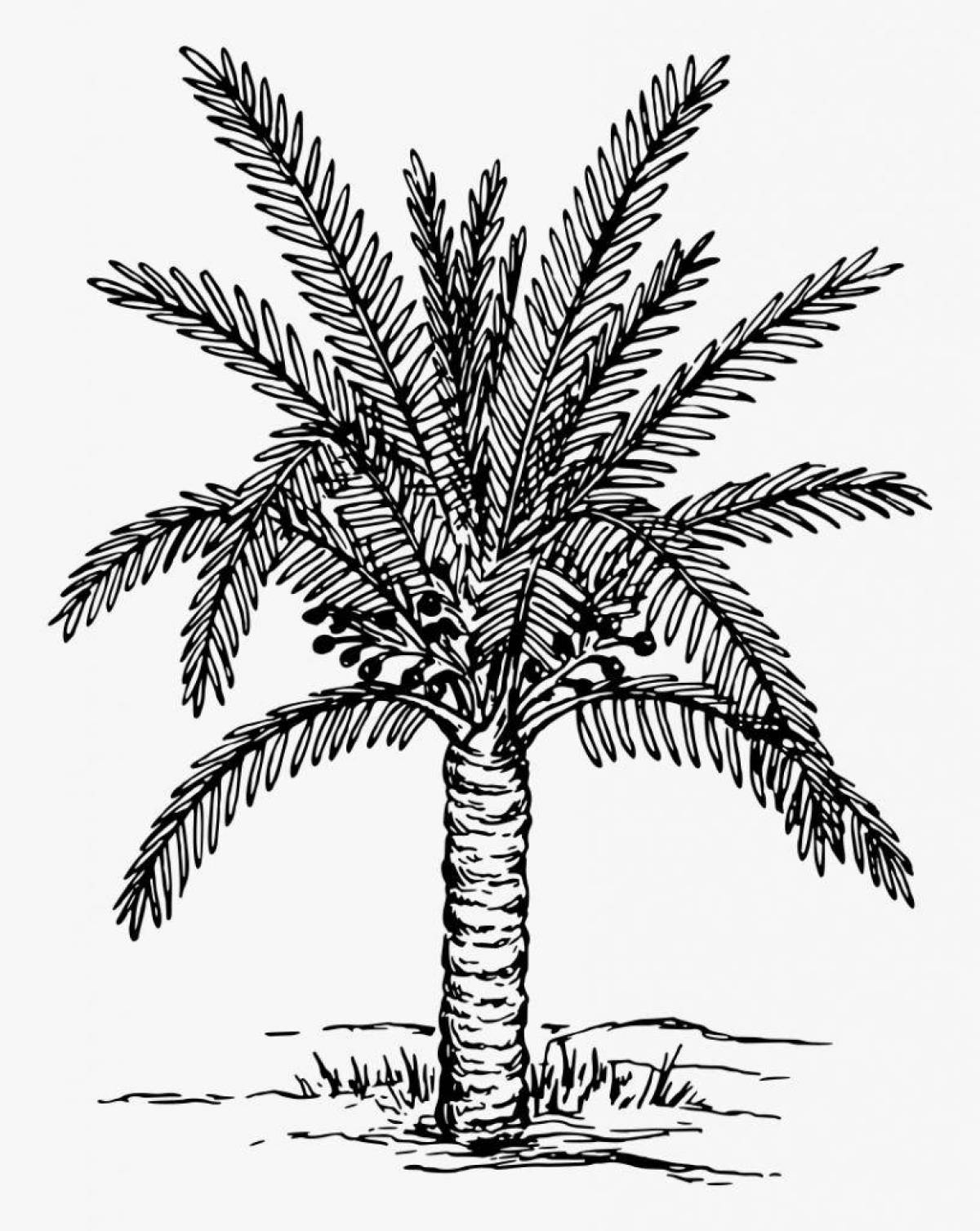 Раскраска богатые финики