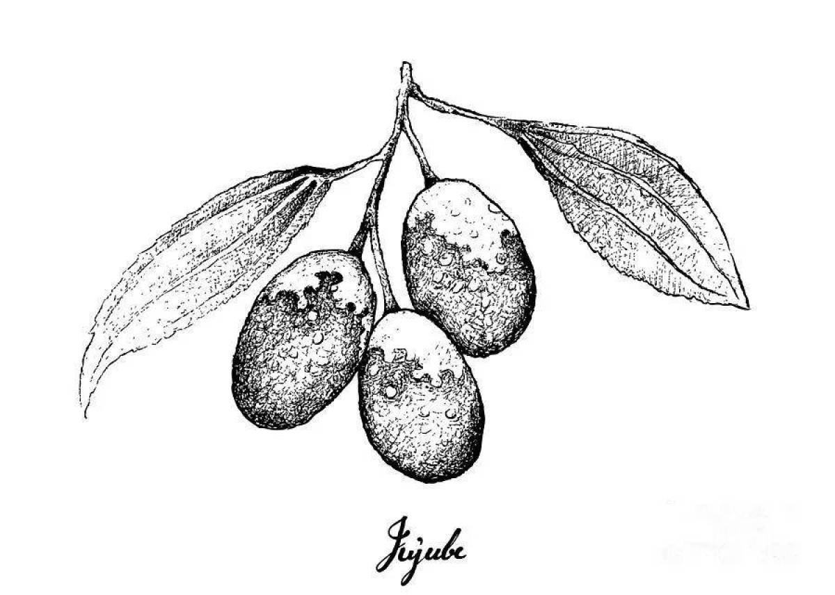 Страница раскраски здоровых финиковых фруктов