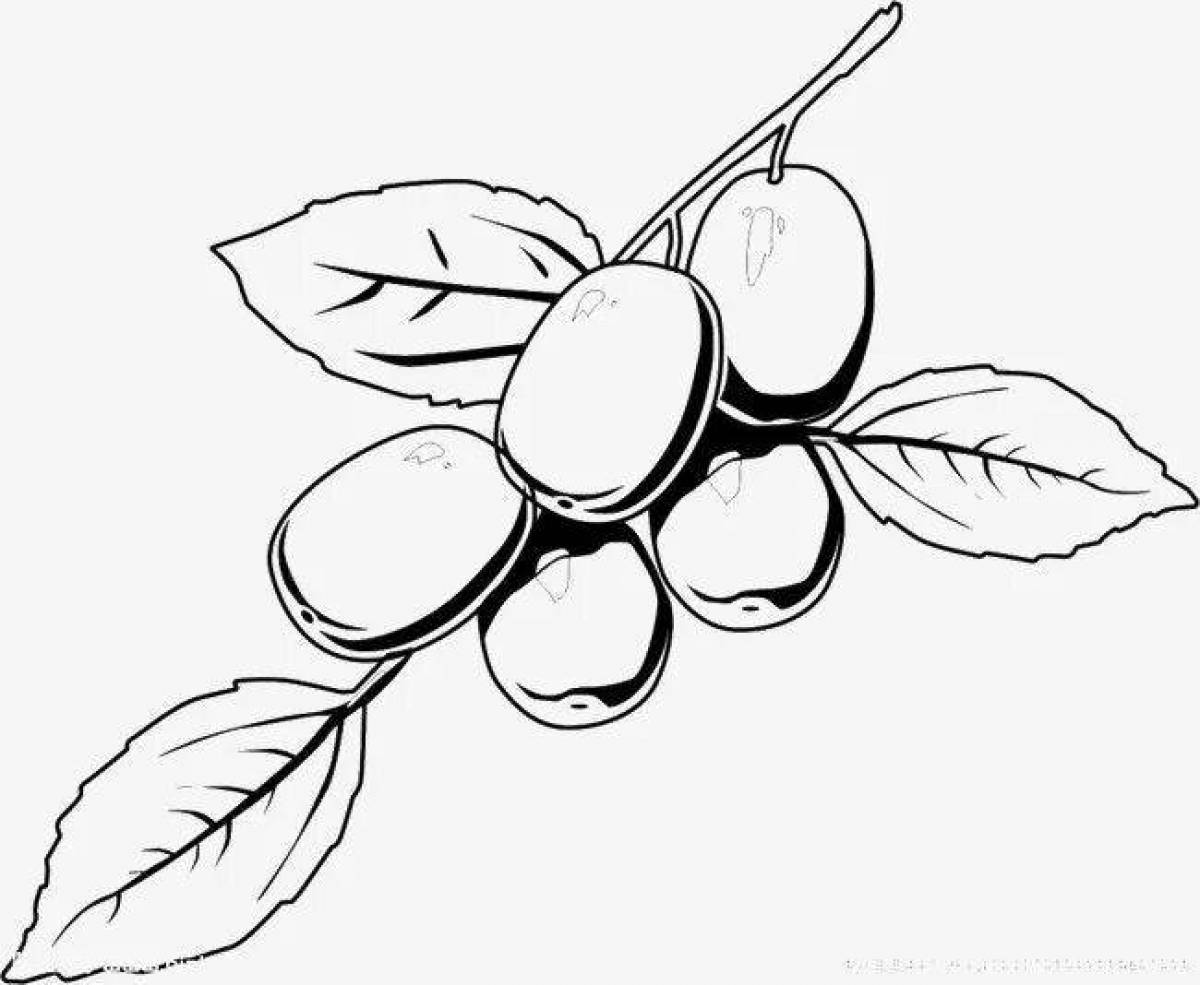 Refreshing date fruit coloring page