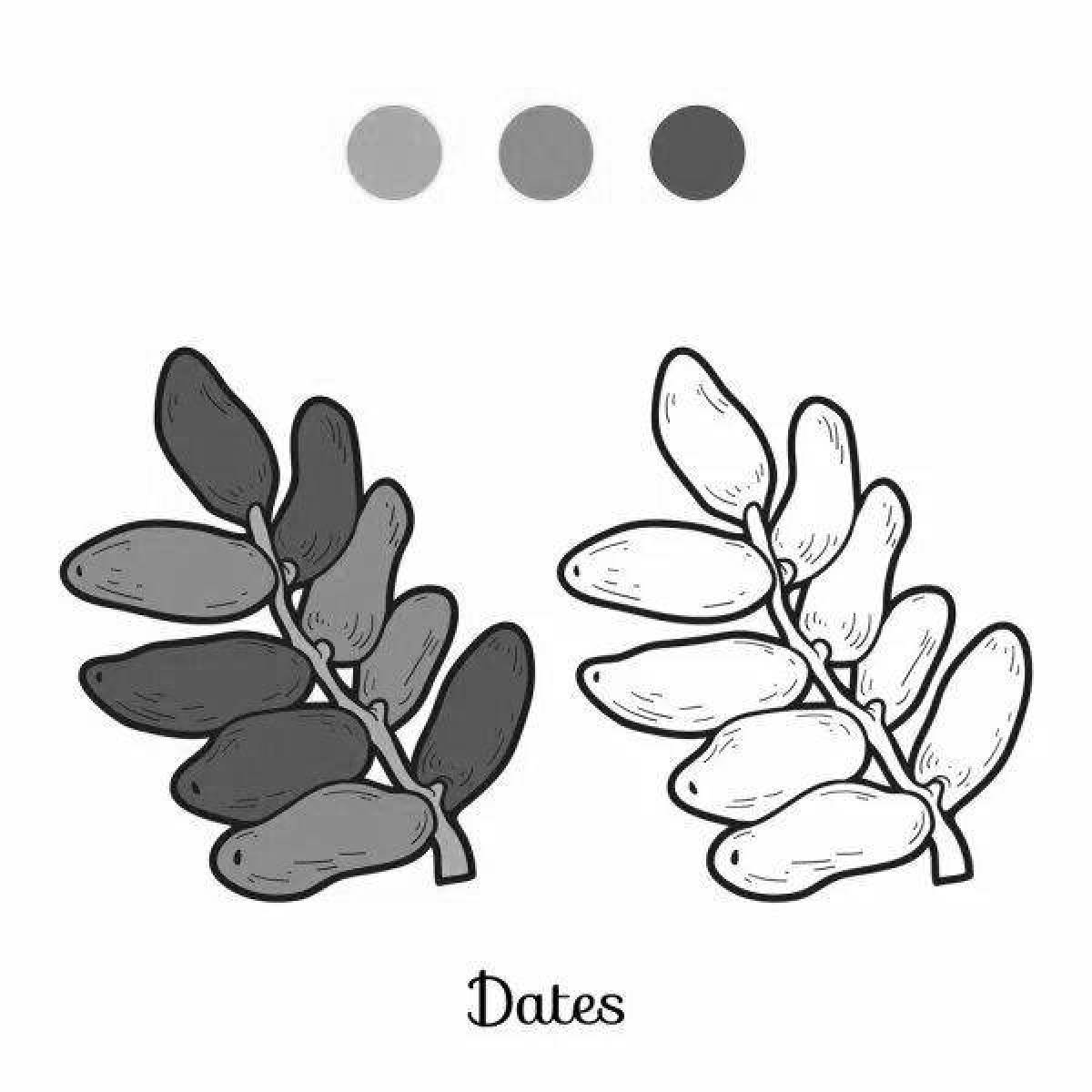 Intricate date fruit coloring page