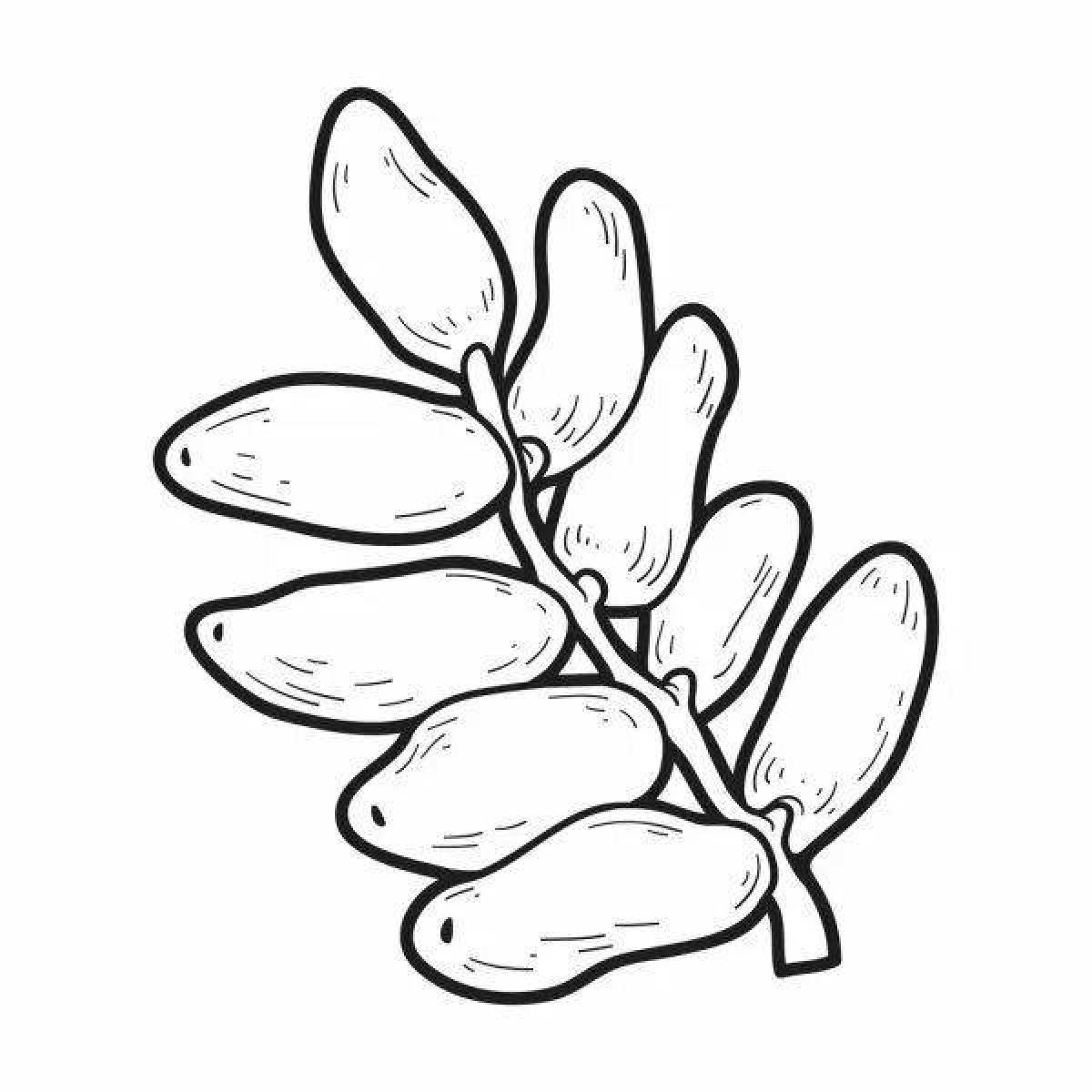 Очаровательная страница раскраски финиковых фруктов