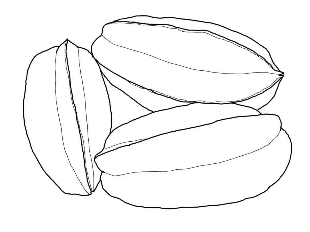 Coloring book magical date fruit