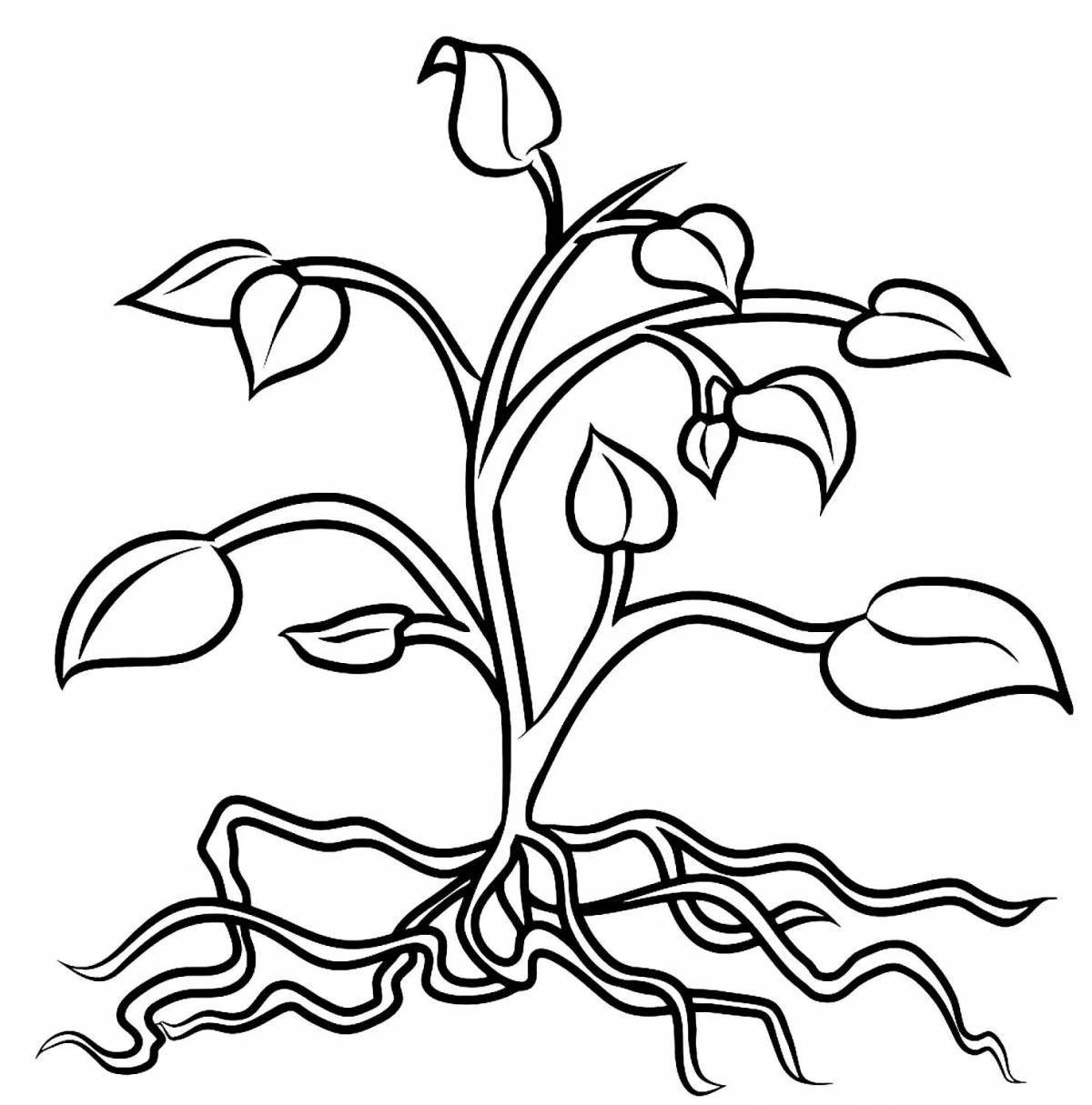 Сказочные раскраски растений для детей