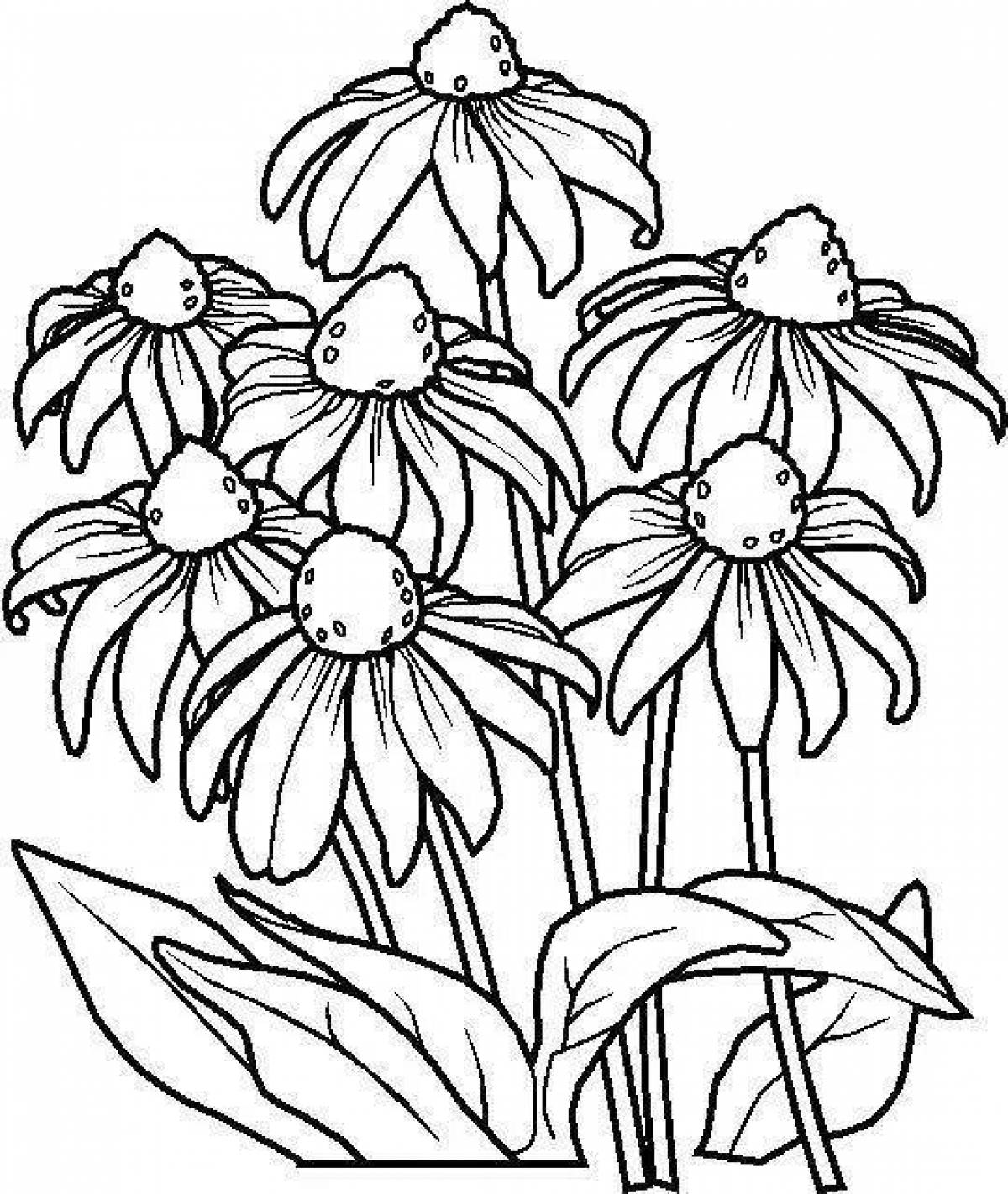 Wonderful plant coloring pages for kids
