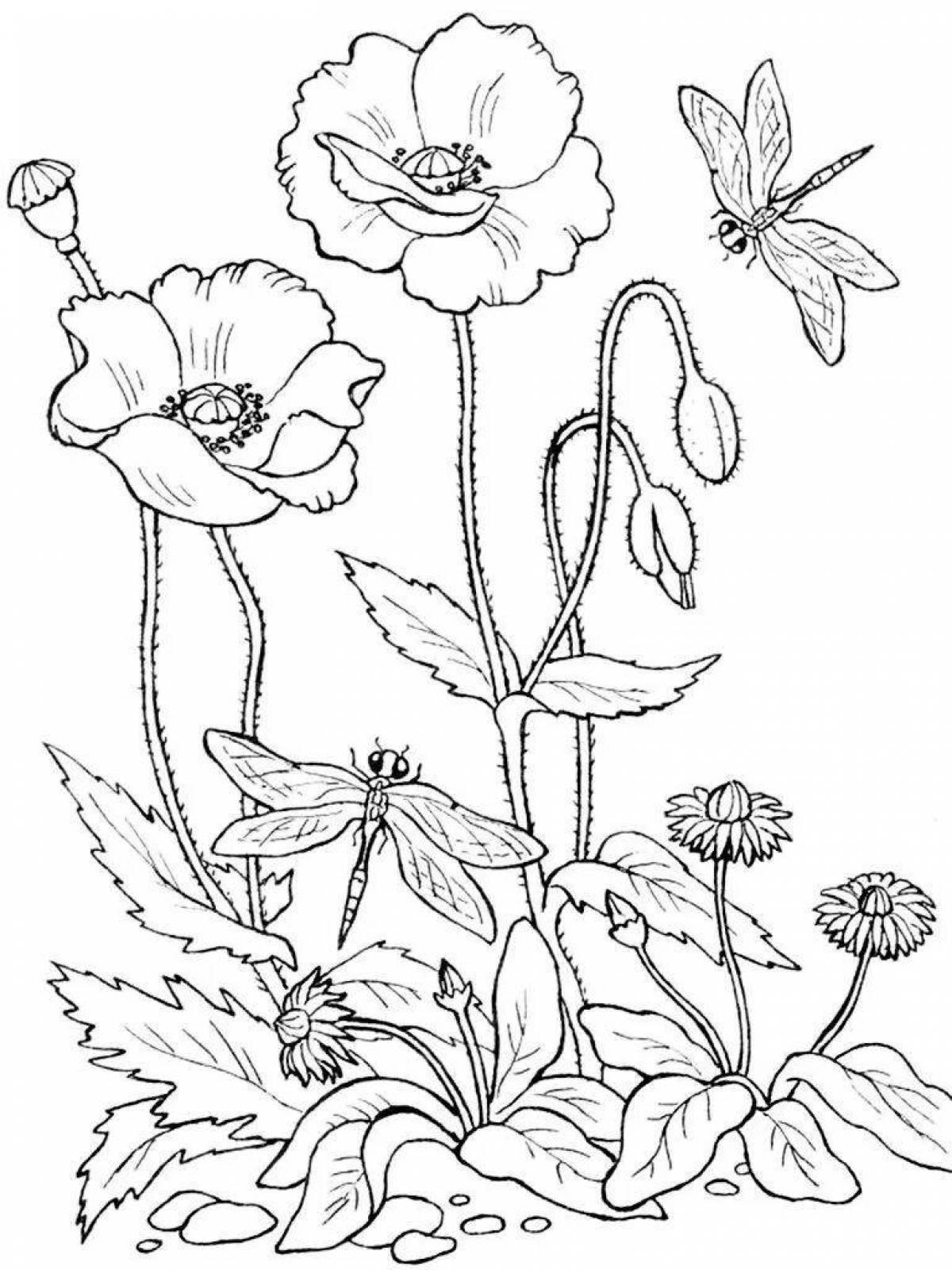 Adorable plant coloring book for kids