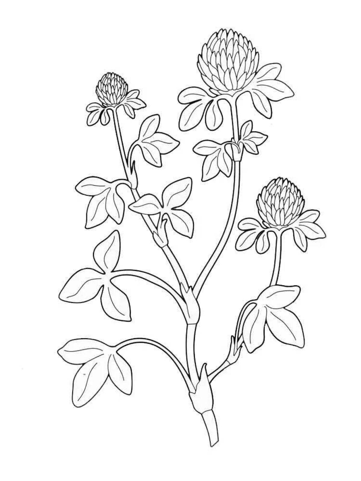 Coloring page funny plant for kids