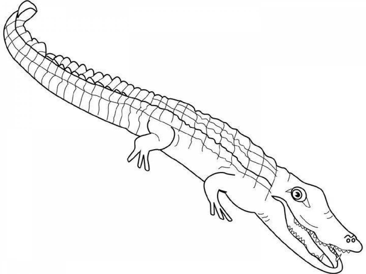Крокодил распечатать. Раскраска крокодил Аллигатор. Раскраска хвост крокодила. Добрый крокодил раскраска. Болотный крокодил раскраска.