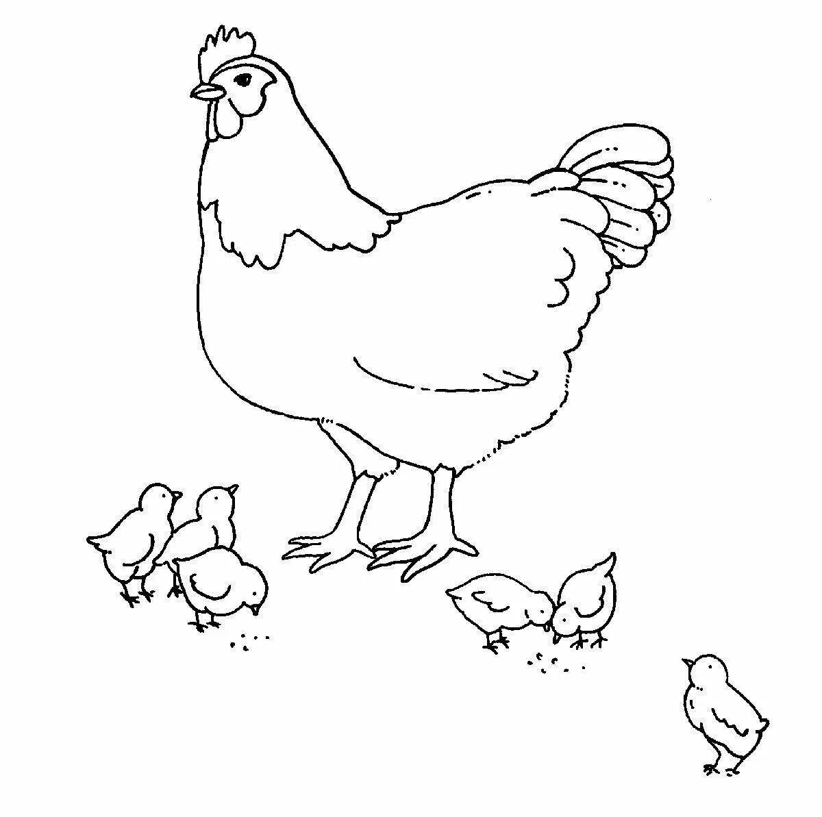 Веселая раскраска с курицей для детей