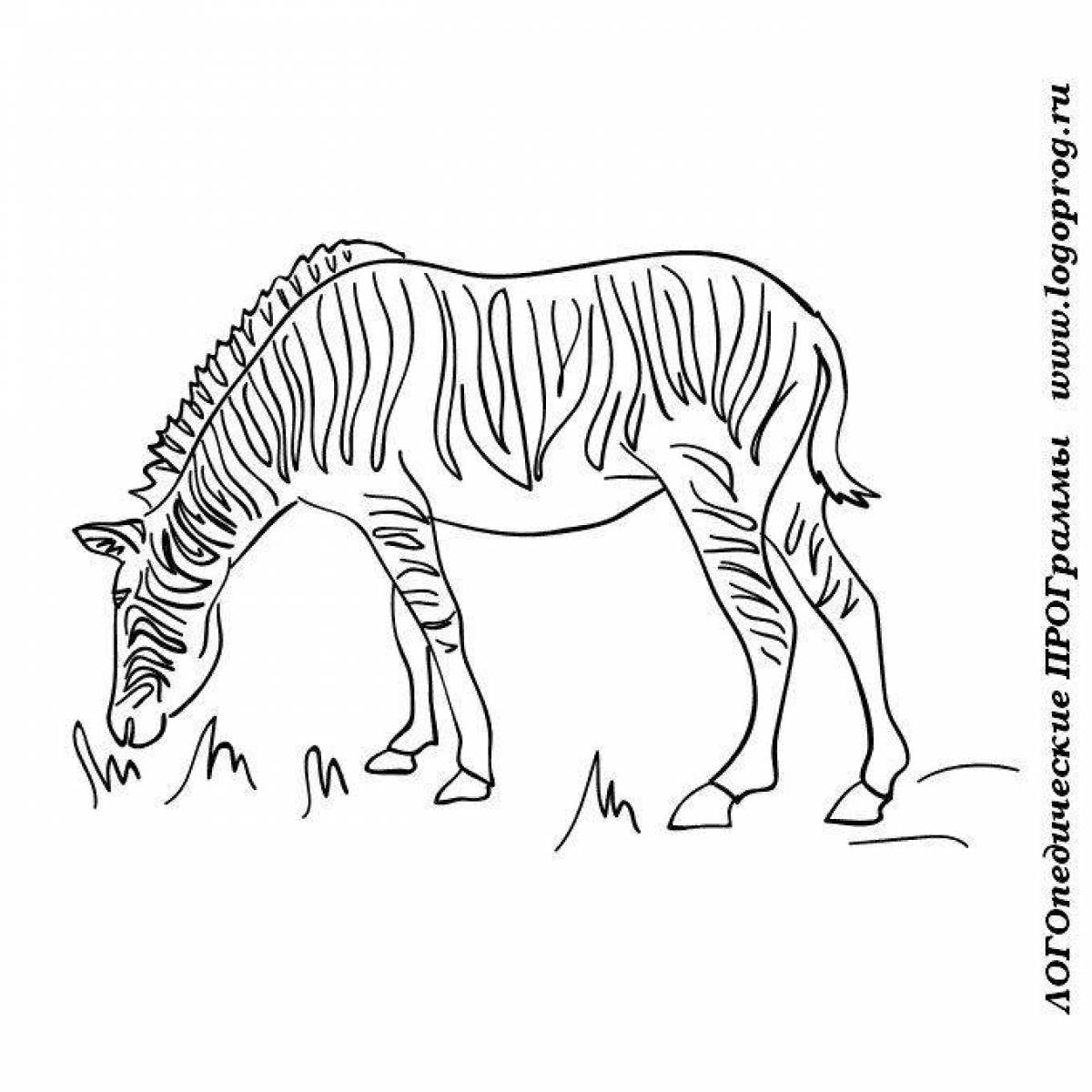 Cute hot country animals coloring book for 3-4 year olds