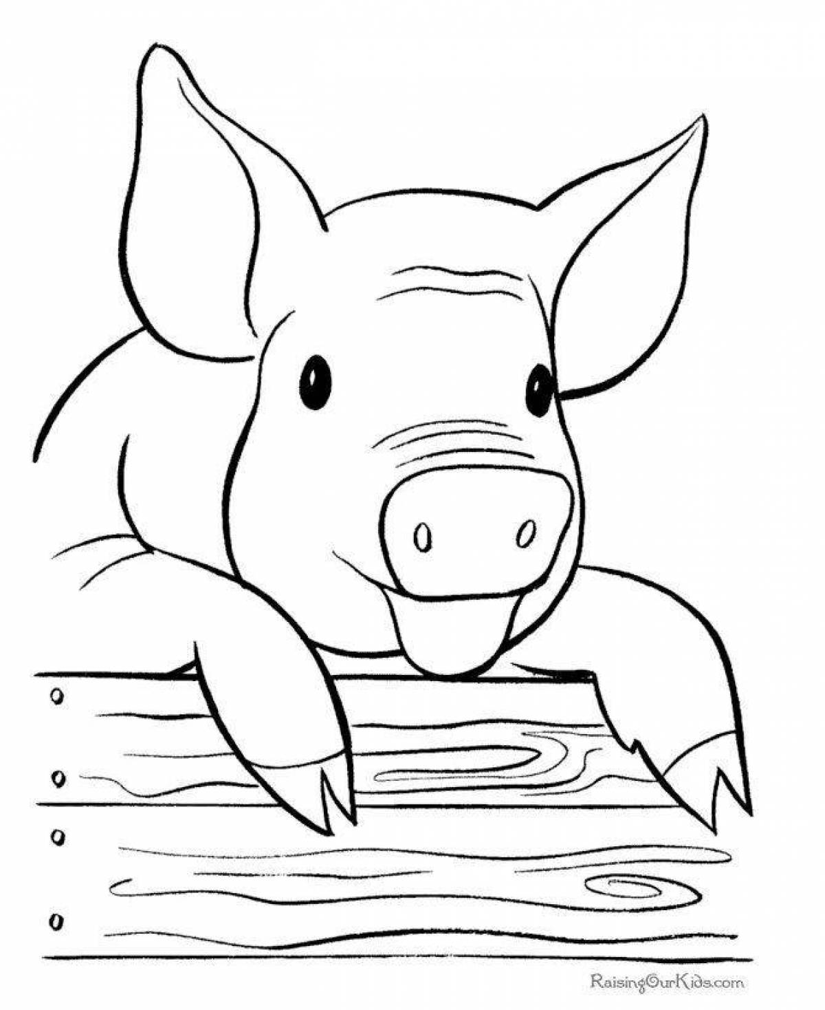 Joyful pig coloring for kids