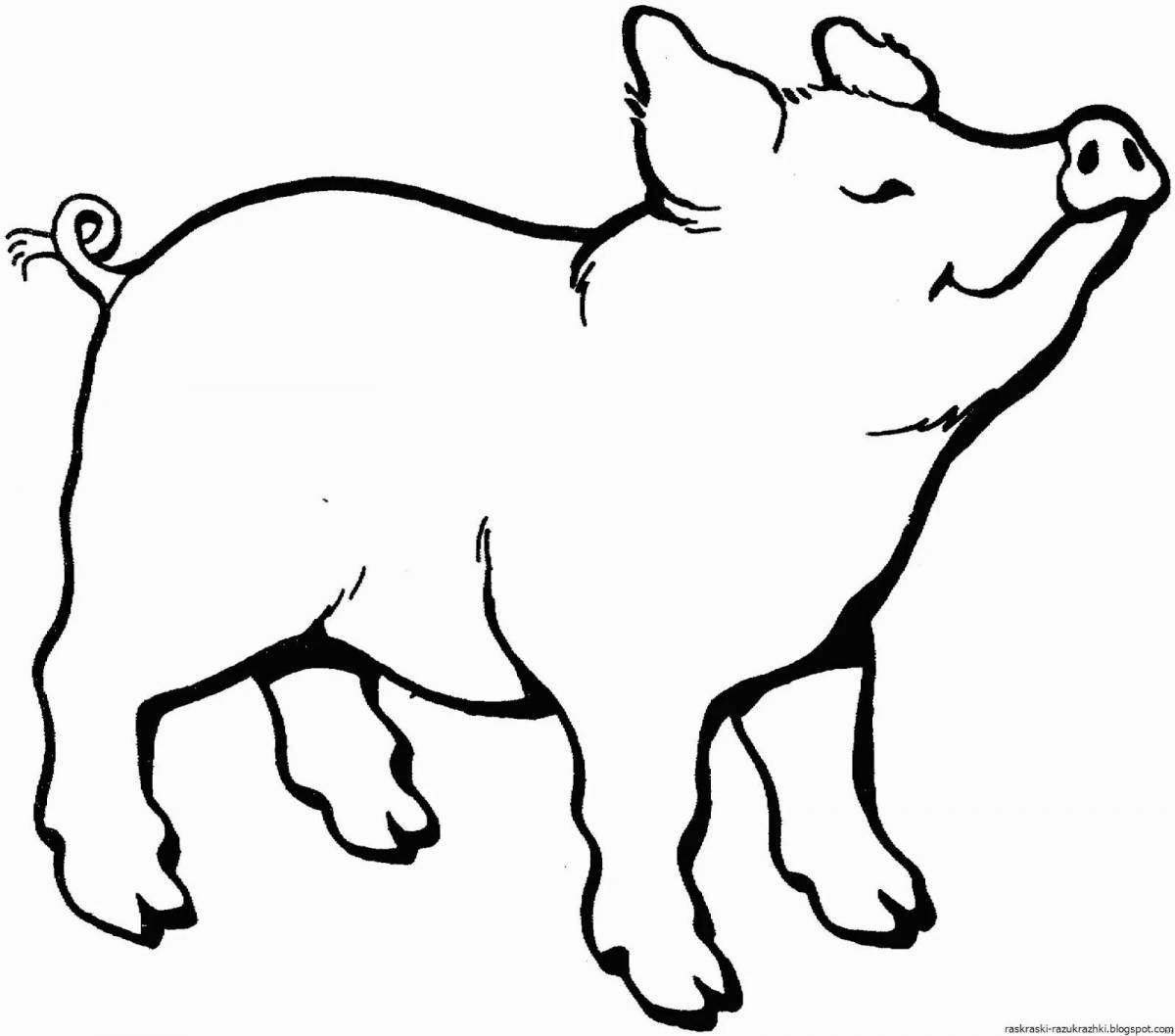 Live coloring pig for kids