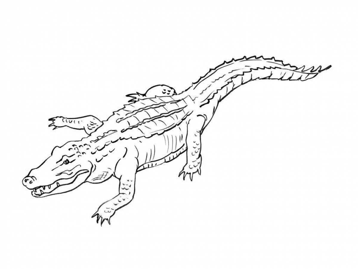 Ferocious alligator coloring page
