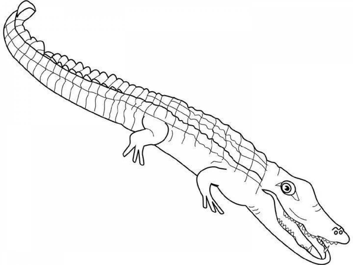 Glorious alligator coloring page