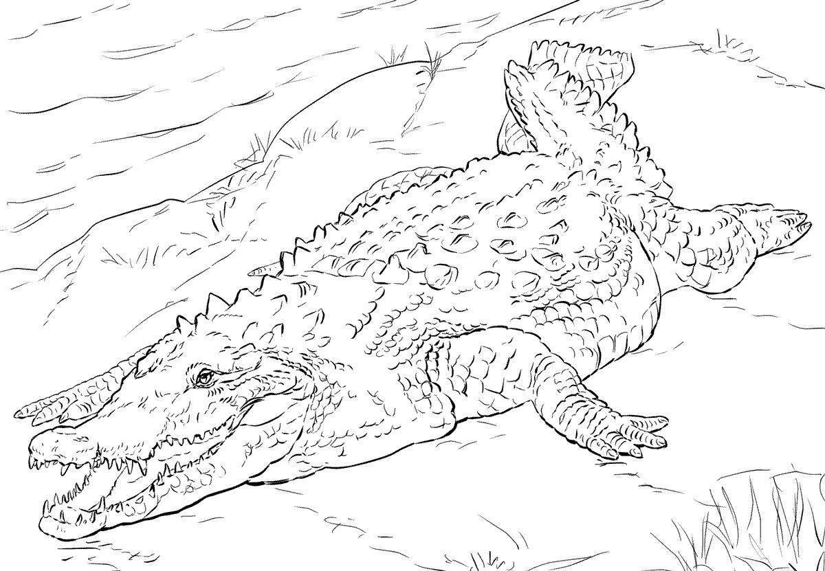 Adorable alligator coloring page