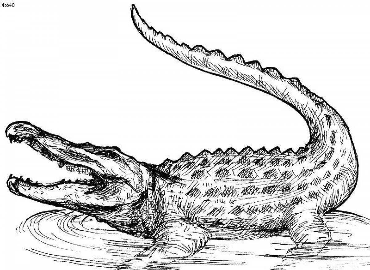 Radiant alligator coloring page