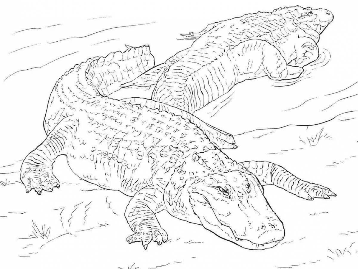 Coloring great alligator