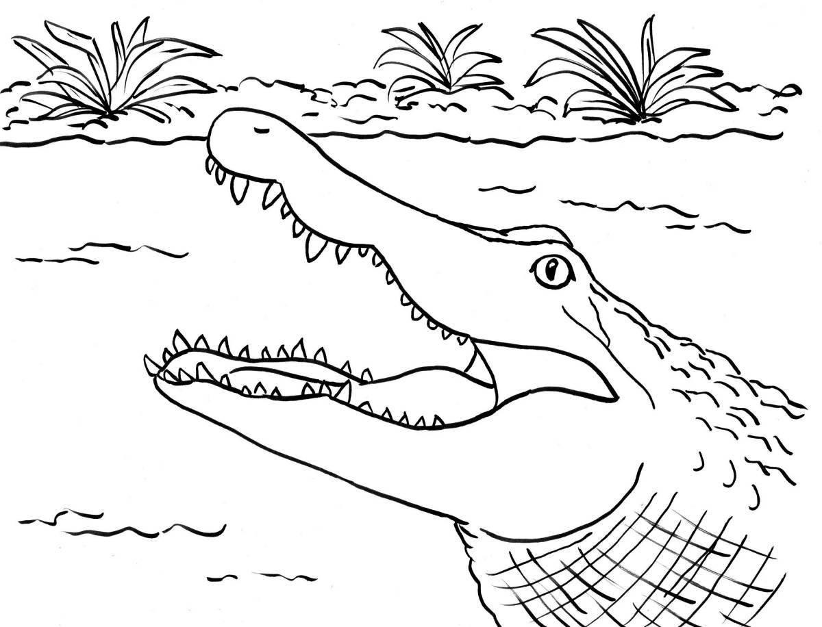 Dramatic alligator coloring book