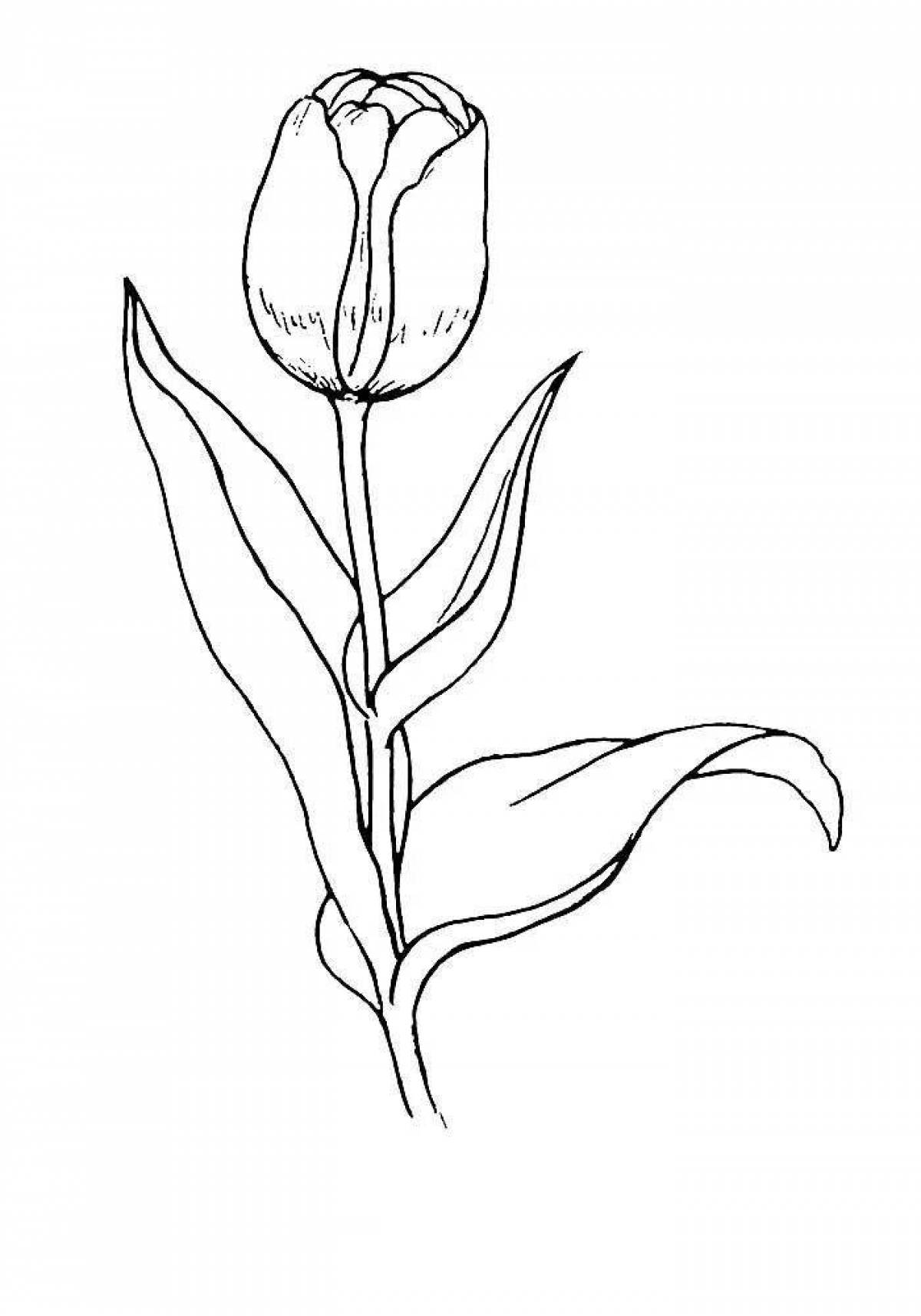 Coloring tulips for kids