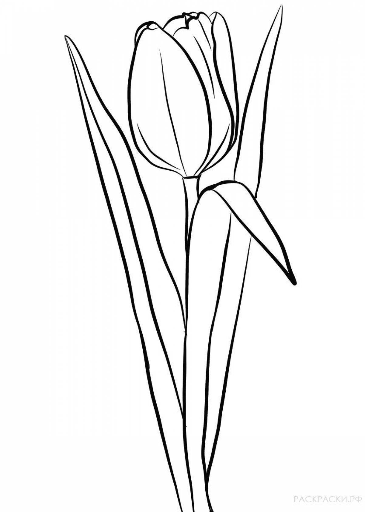 Adorable tulip coloring book for kids