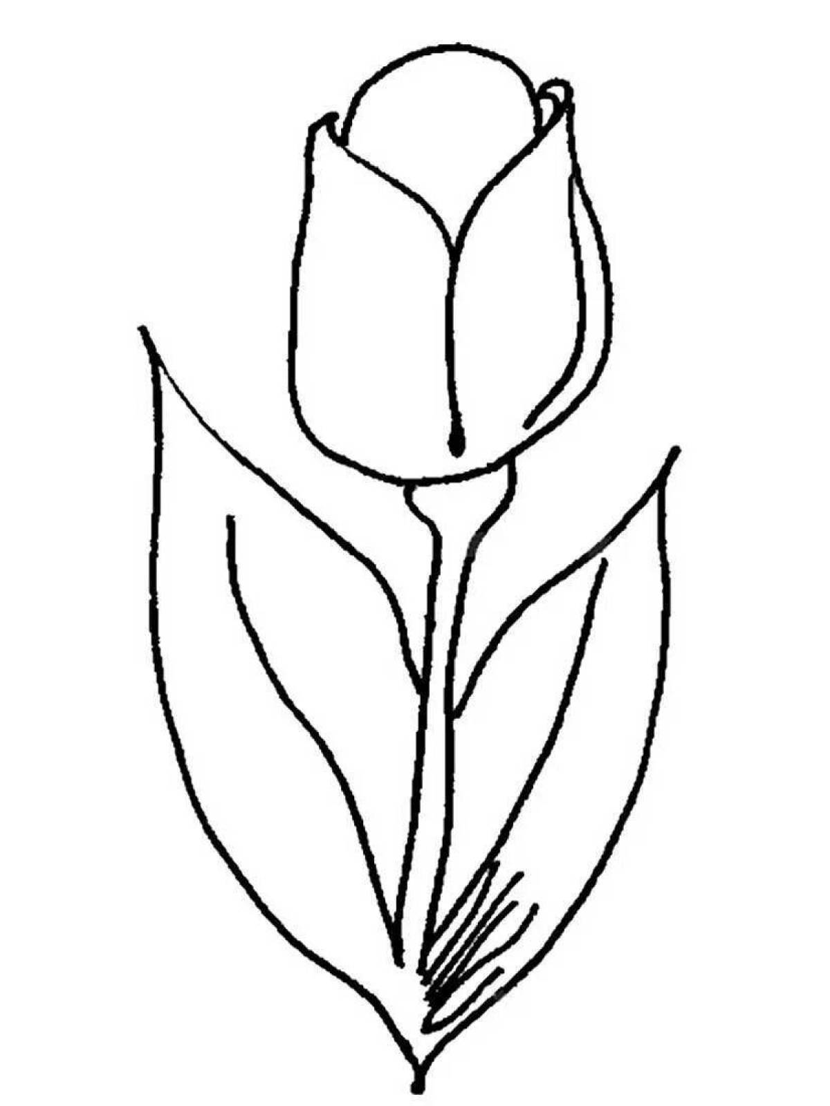 Unique tulip coloring page for kids