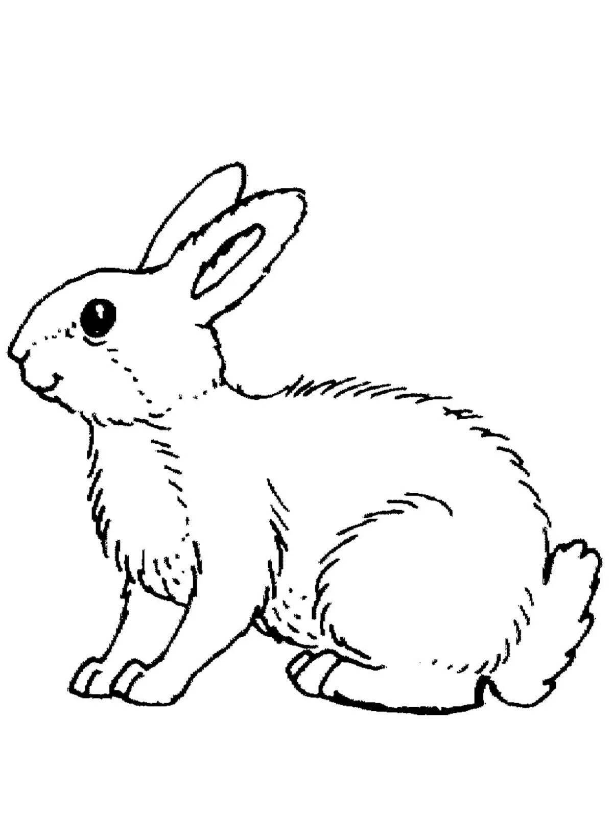 Fun coloring of a hare for children