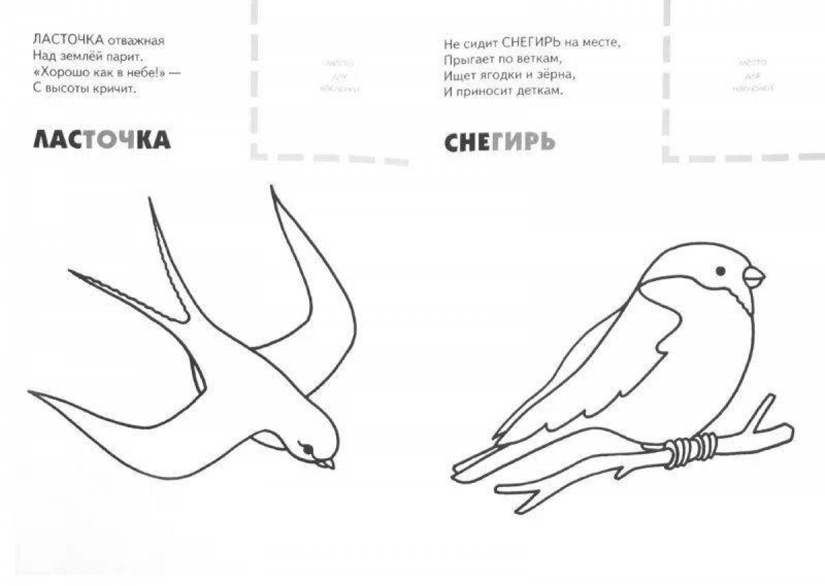 Перелетные птицы картинки с названиями для детей раскраски