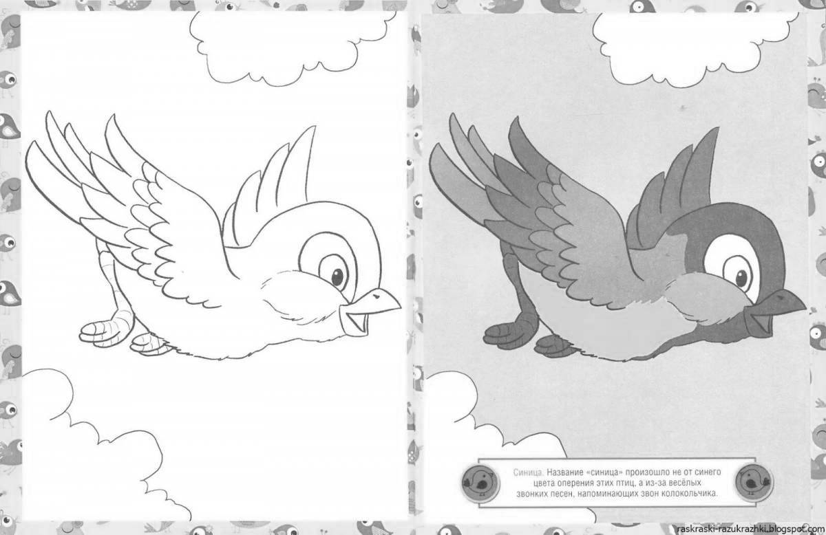 Adorable bird coloring pages for 6-7 year olds