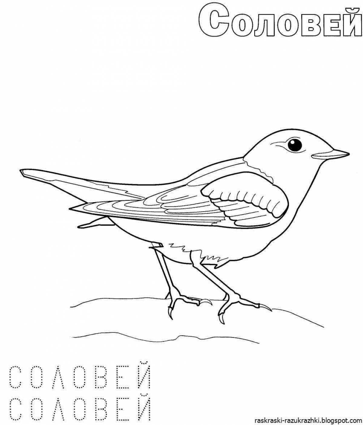 Animated bird coloring book for children 6-7 years old