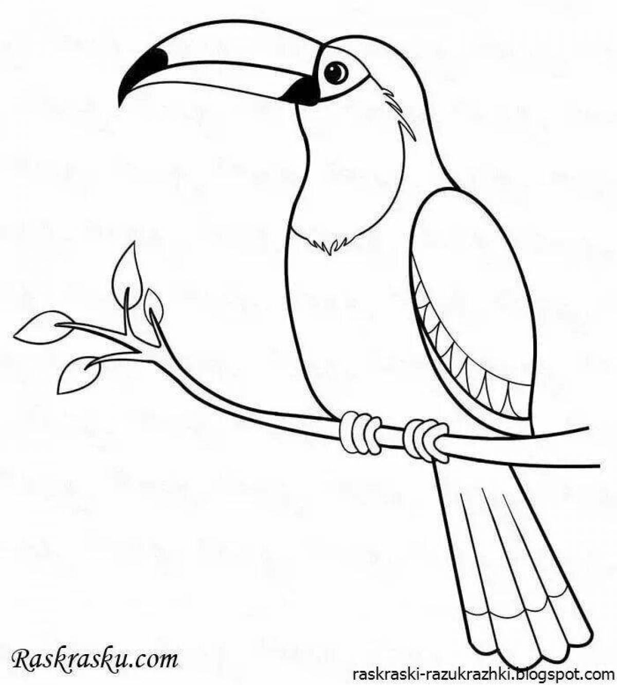 Fun bird coloring book for 6-7 year olds