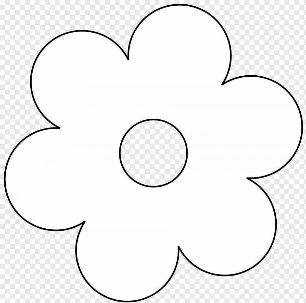 Exquisite flower pattern coloring book