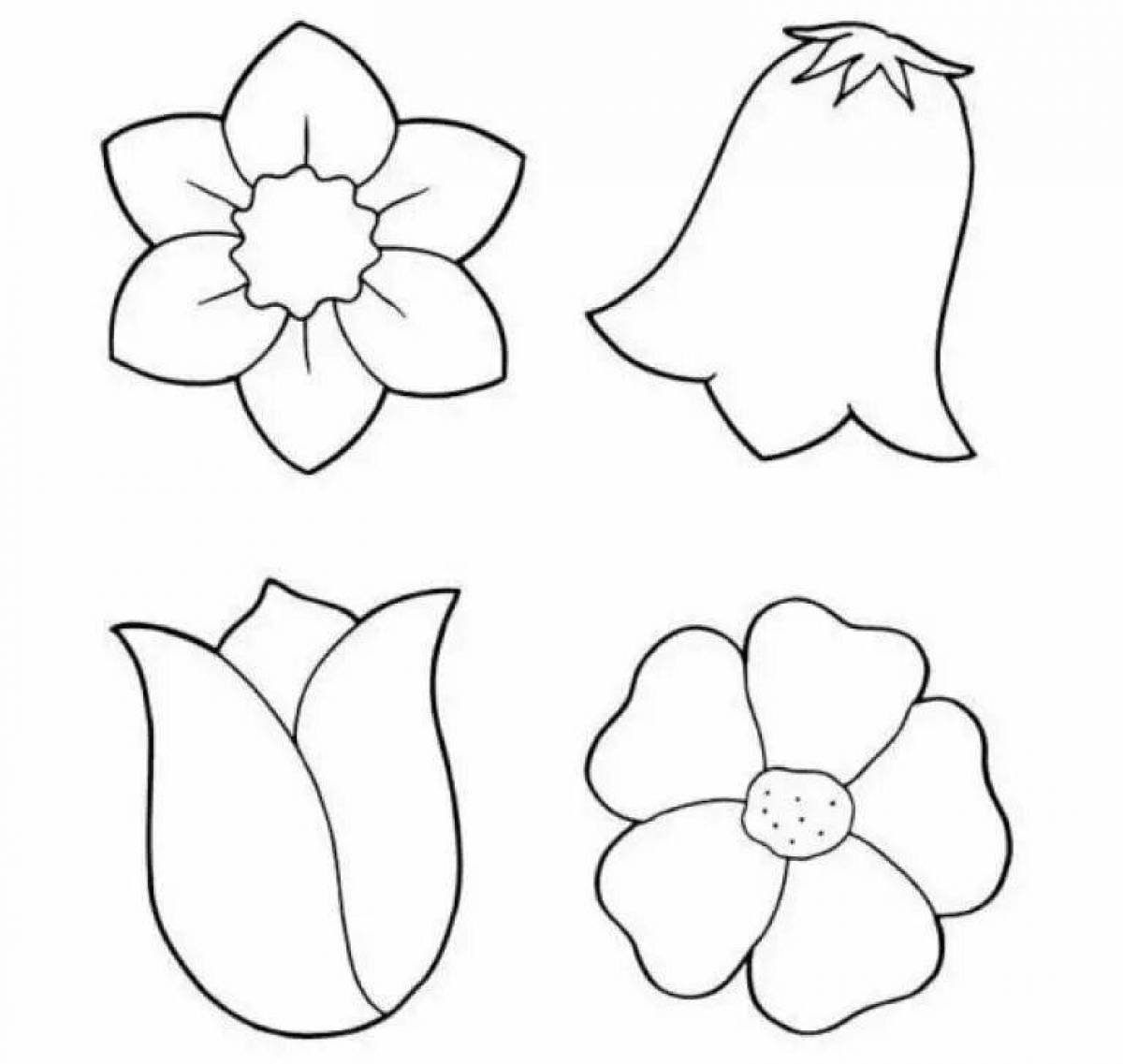 Fancy floral pattern coloring page