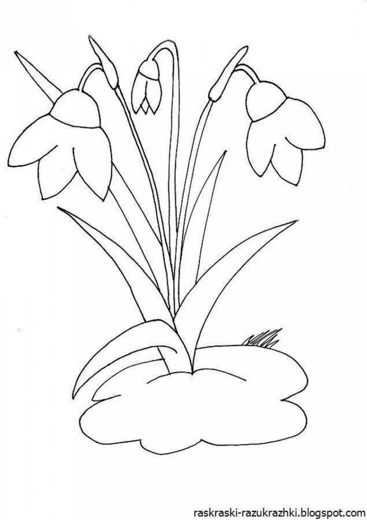 Colorful snowdrops coloring pages for kids