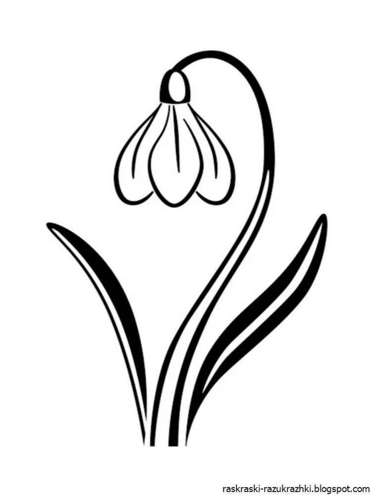 Joyful snowdrops coloring for kids