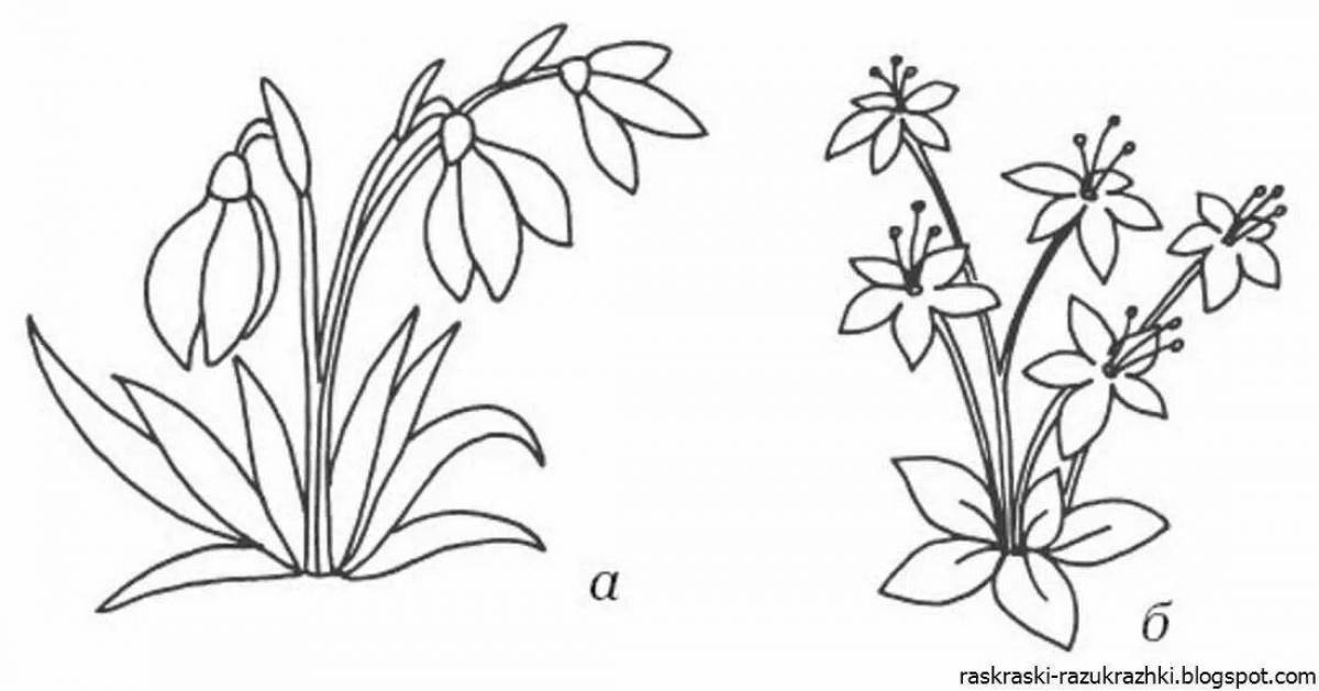 Adorable snowdrop coloring book for kids