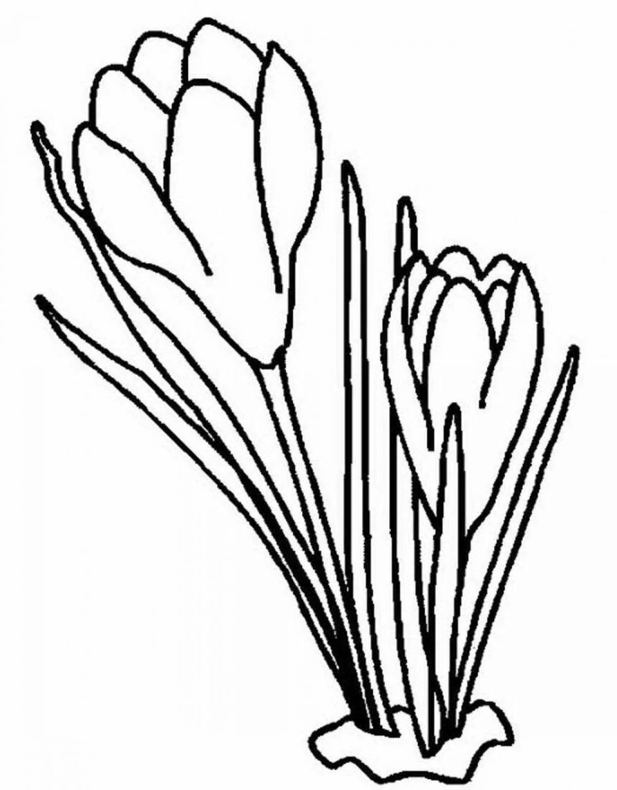 Amazing snowdrops coloring pages for kids