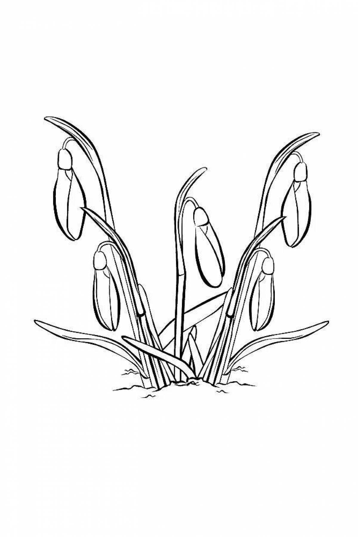 Playful snowdrop coloring page for kids