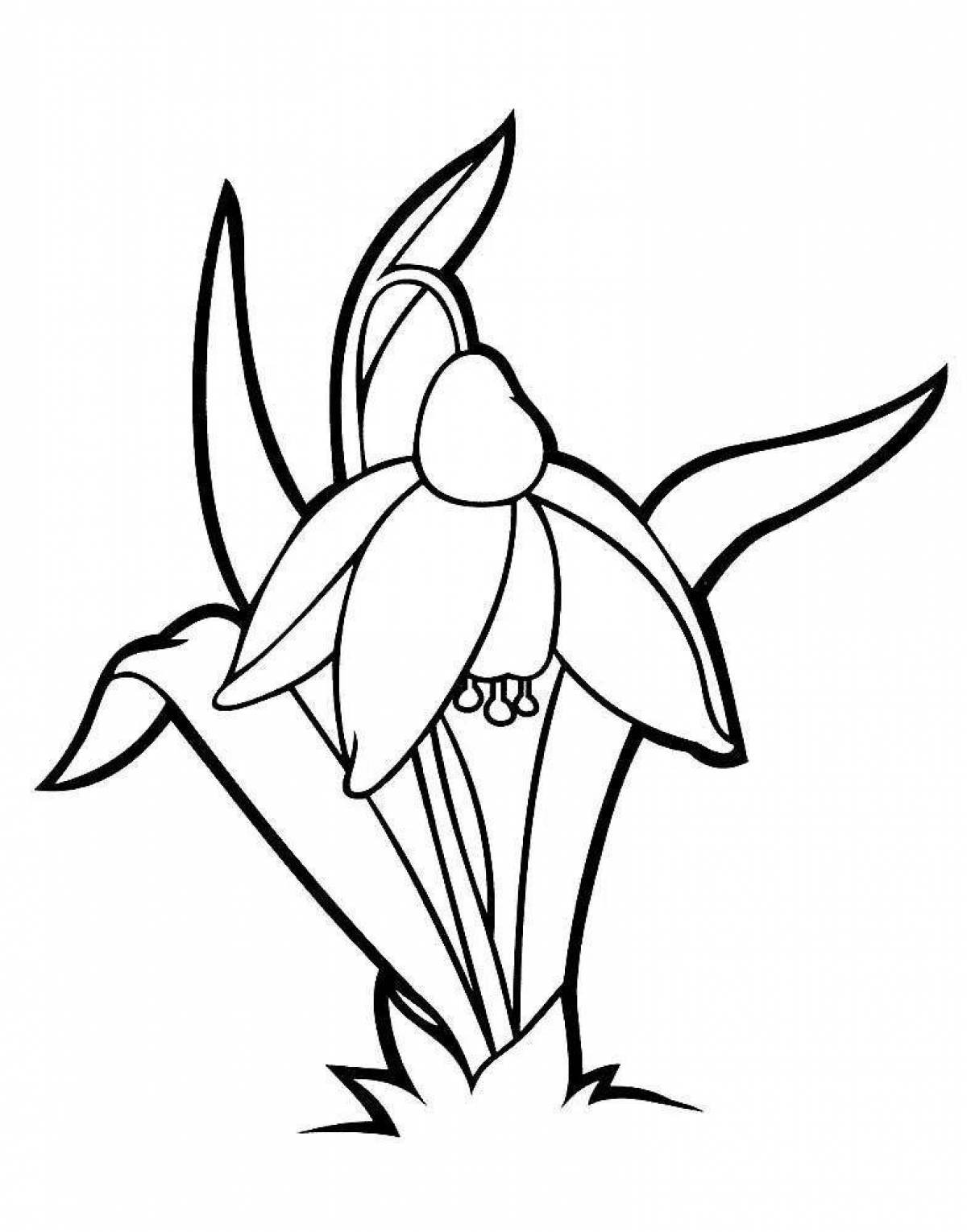 Sunny snowdrops coloring pages for kids