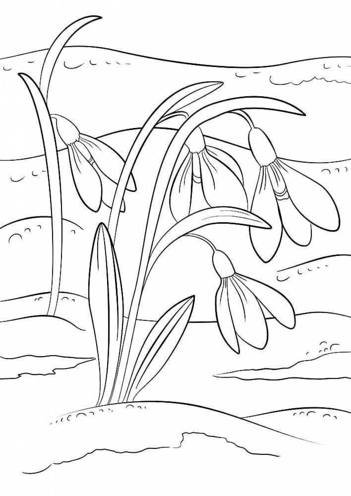 Shining snowdrops coloring book for kids