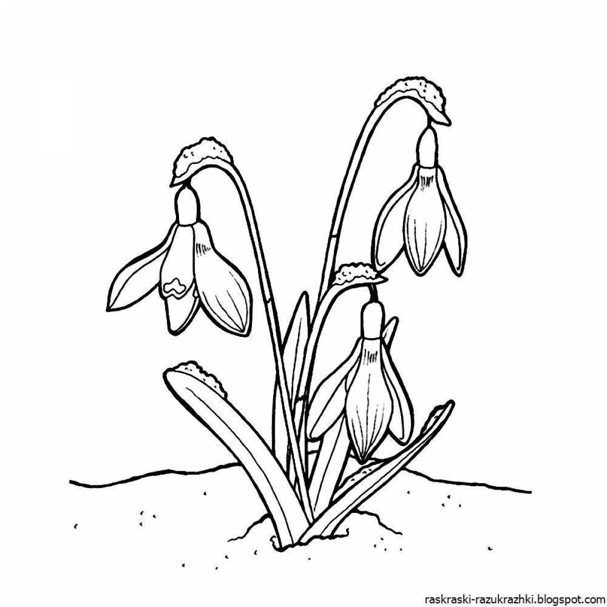 A fun snowdrop coloring book for kids