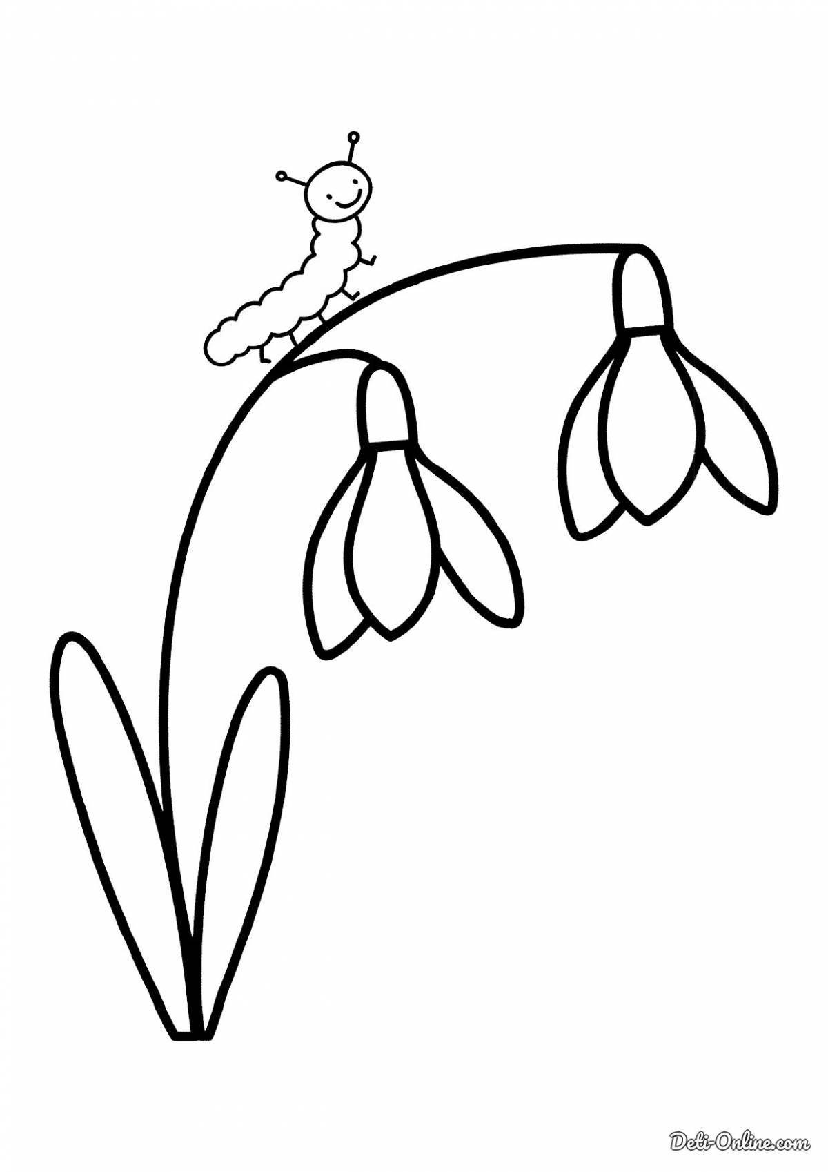 Colored snowdrops coloring for children